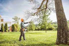 Trusted Fond Du Lac, WI Tree Services Experts